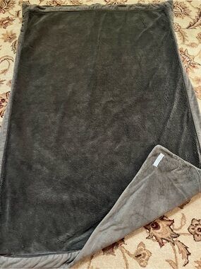 Cozy Restoration Hardware heavy throw blanket